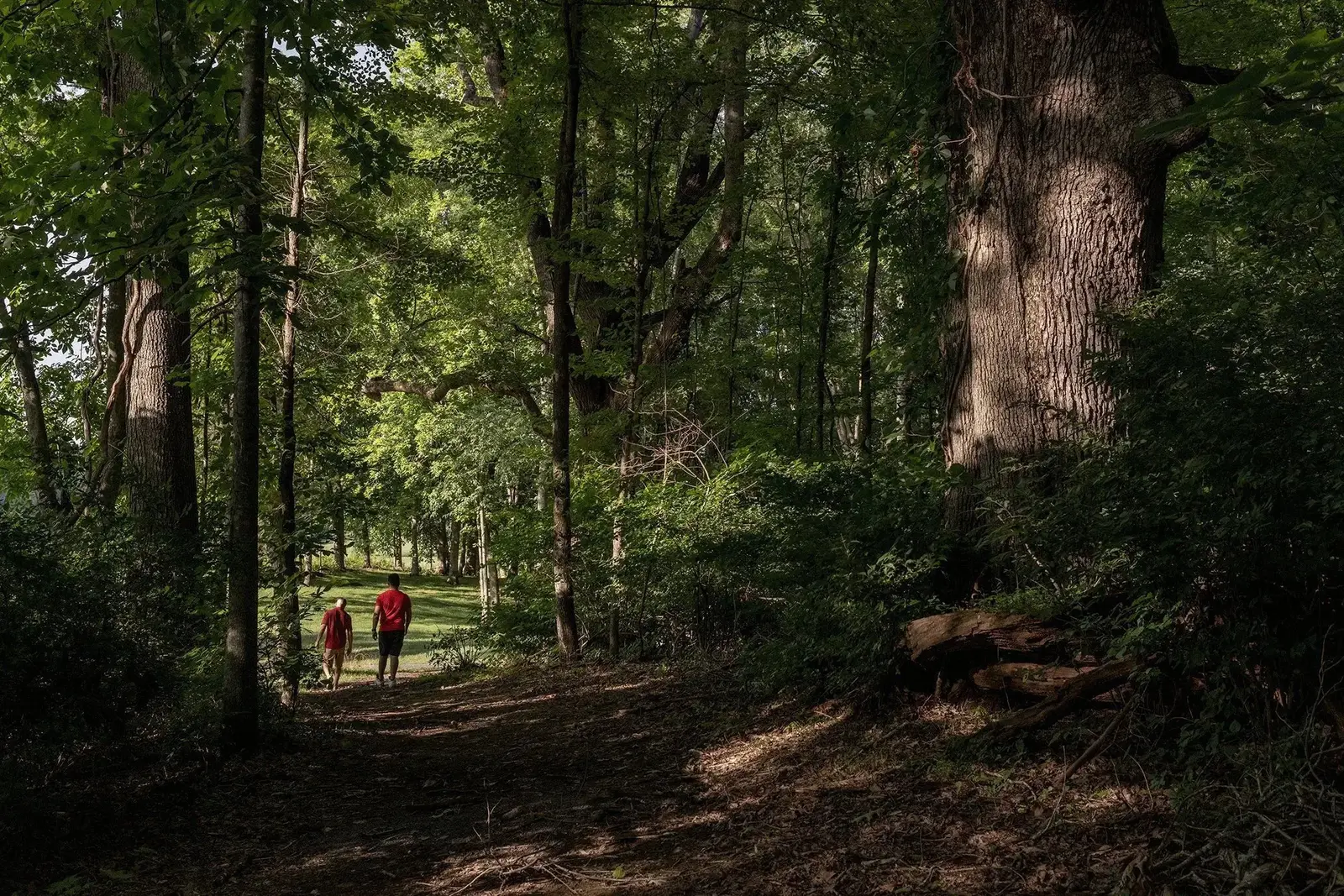 hiking trail
