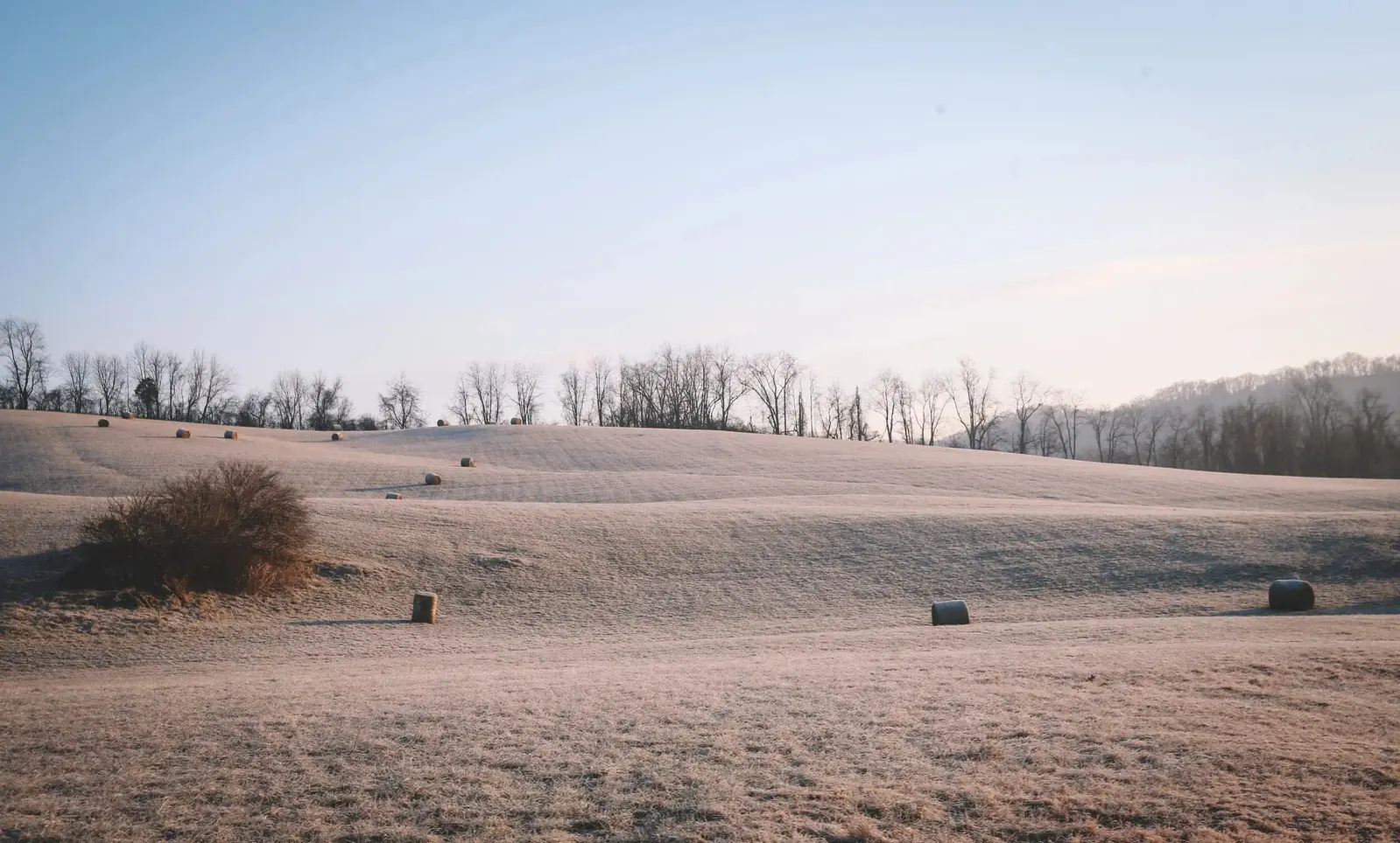 bales of hay in field