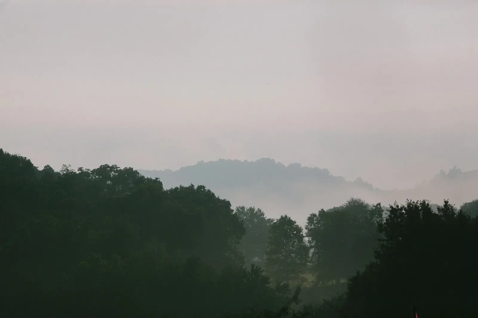 foggy mountain view