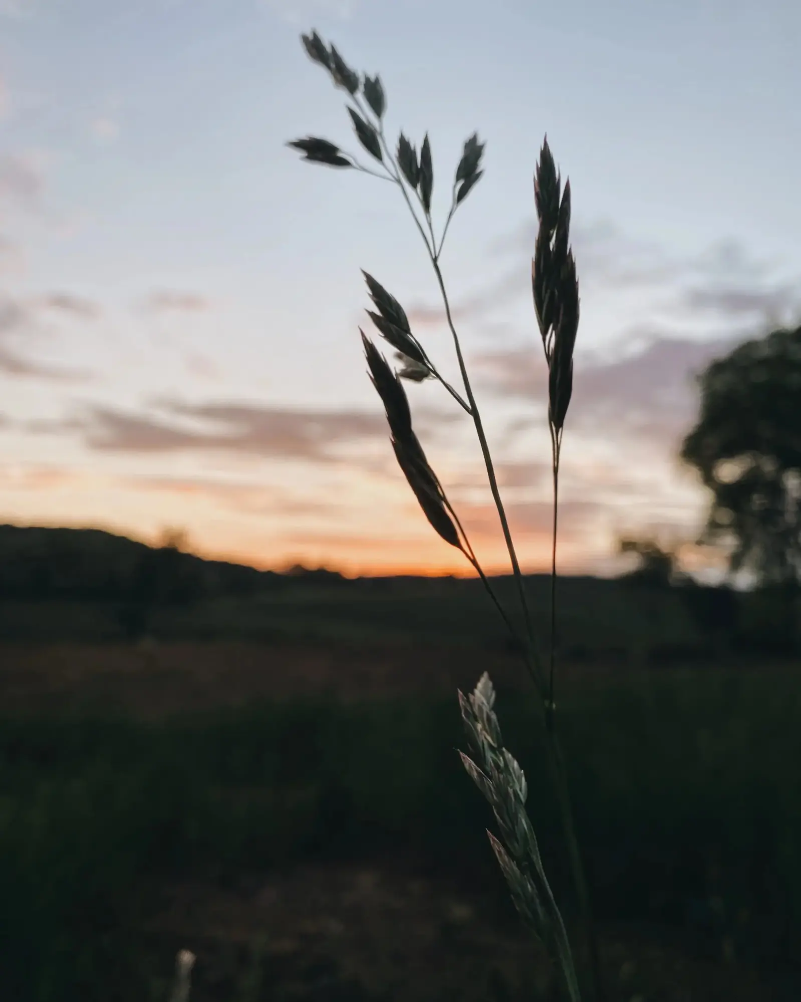 sunset view