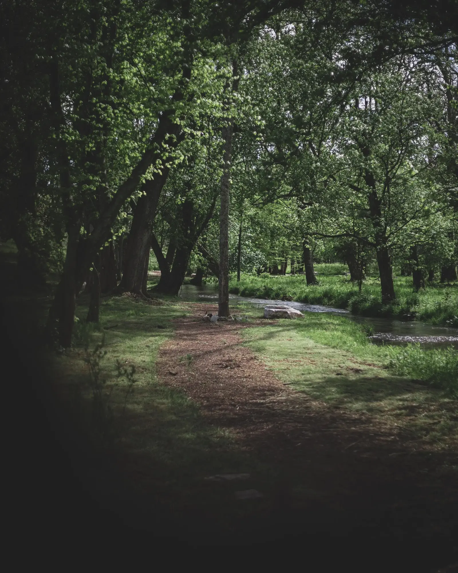 walking trail