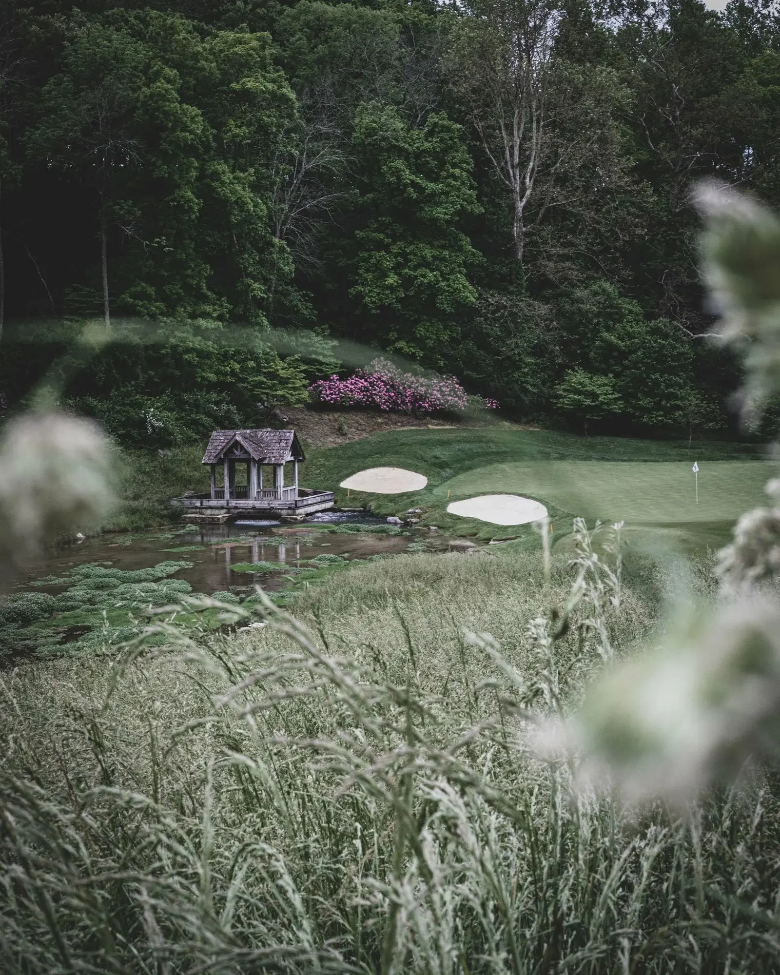 golf course with pond