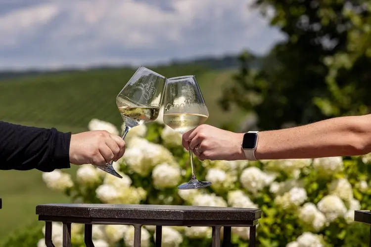 wine toast