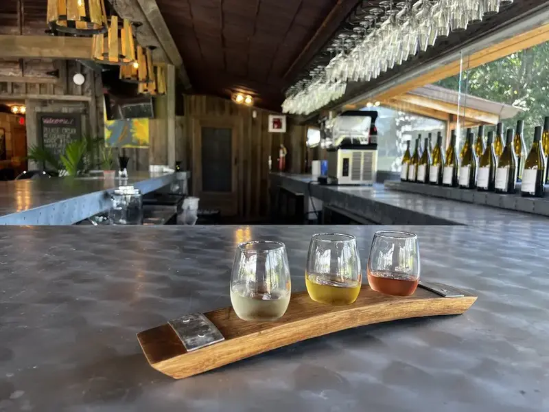 wine tasting