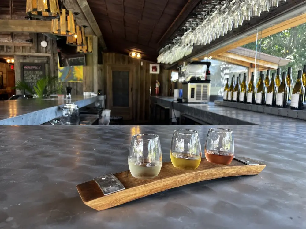 wine tasting