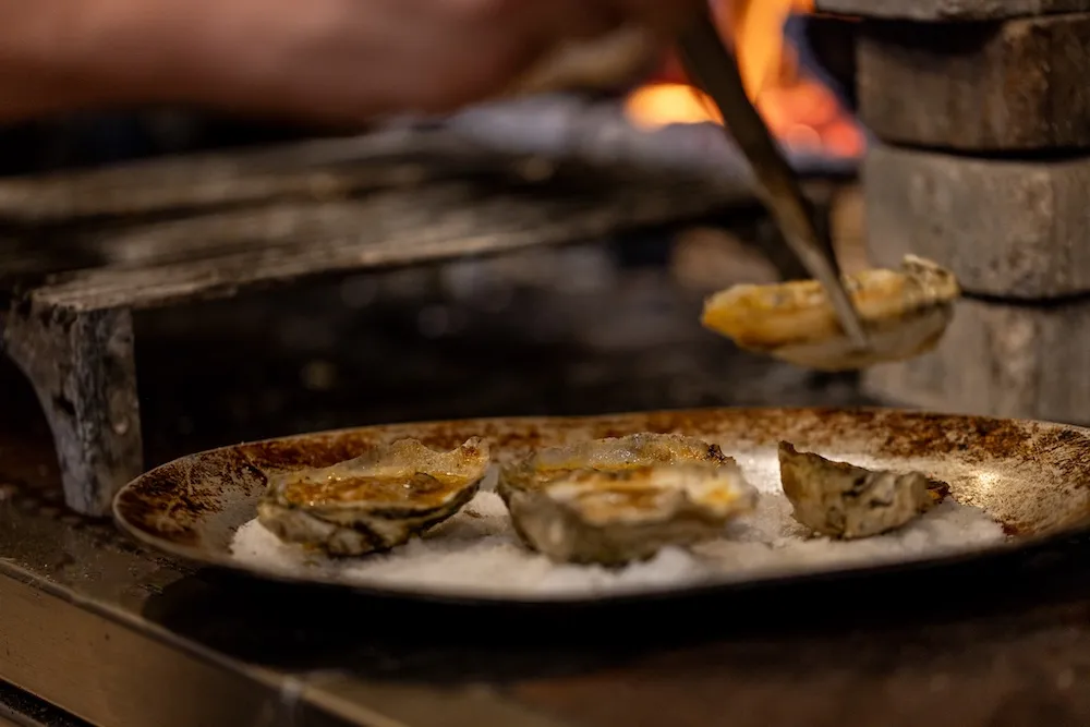 Oysters