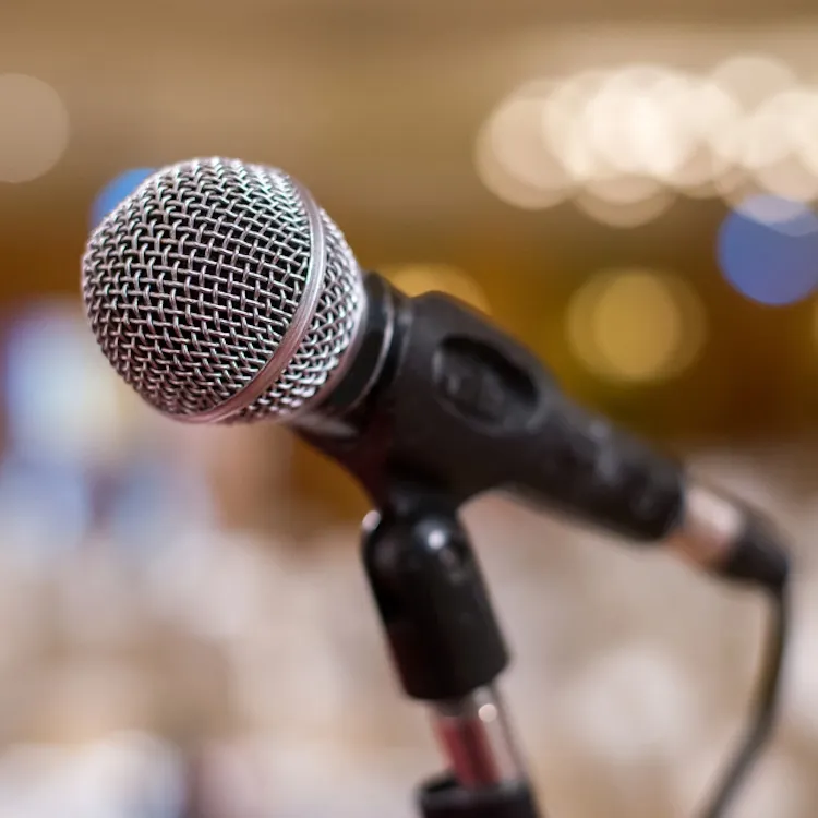 microphone