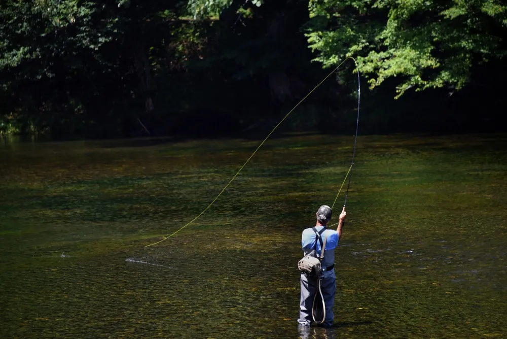fly fishing South Holston River Bristol VA